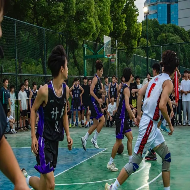 红土网球赛程分析：视角独特的第1167组观察